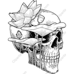 Intricate Skull and Lotus