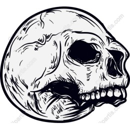 Gothic Hand-Drawn Skull