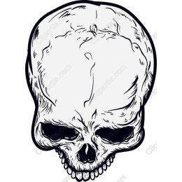 Edgy Skull