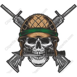 Military Skull Emblem