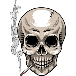 Edgy Skull and Smoke