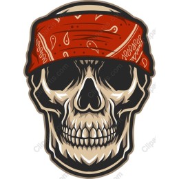 Rebel Skull