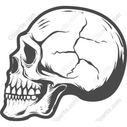 Cracked Skull