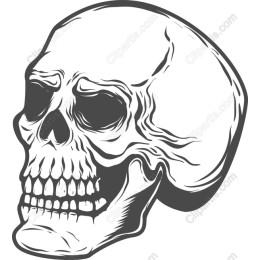 Skull - File