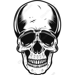 Vintage Skull