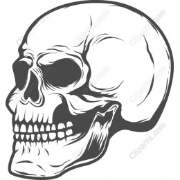 Skull - High-Resolution Files