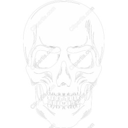 Premium Skull