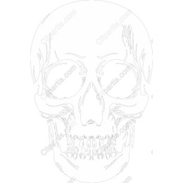 Edgy Skull