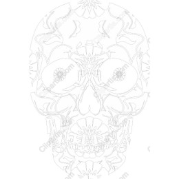 Intricate Skull