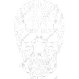 Intricate Skull