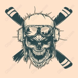Skull Aviator