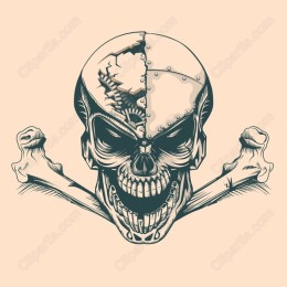 Mechanical Skull