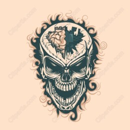 Cerebral Skull