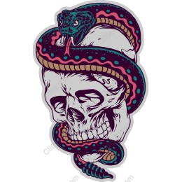 Dark Elegance Skull and Snake