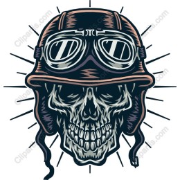 Vintage Aviator Skull