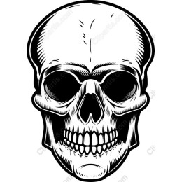 Bold Skull