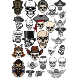 Skull Collection: 24 Distinct