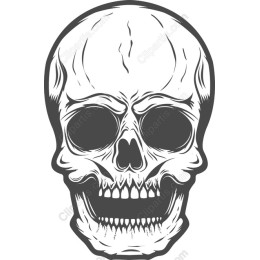 Intricate Skull