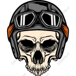 Aviator Skull Emblem