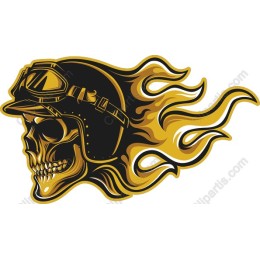 Vintage Aviator Skull with Flames