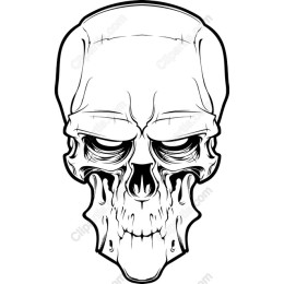 Intricately ed Skull