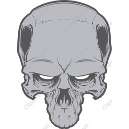 Premium Skull