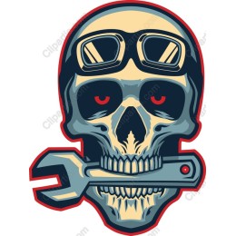 Skull Mechanic