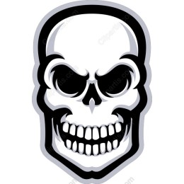 Menacing Skull
