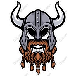 Viking Warrior