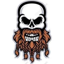 Skull with Braided Beard