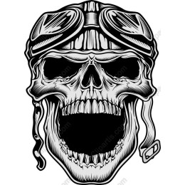 Aviator Skull