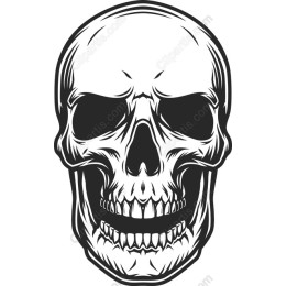 Premium Skull