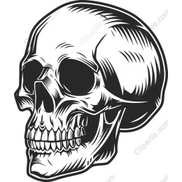 Epic Skull