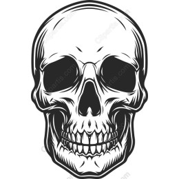 Intricate Skull