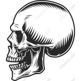 Skull Profile