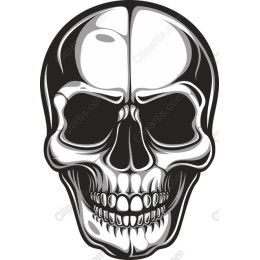 Stylized Skull