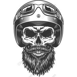 Skull Helmet