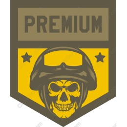 Premium Skull Insignia