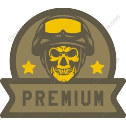 Premium Skull Helmet