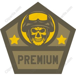 Premium Skull Military Badge