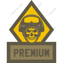 Premium Skull Emblem