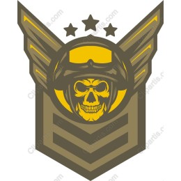Skull Pilot Insignia