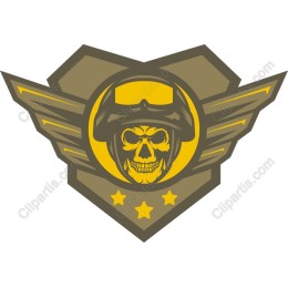 Skull Pilot Badge