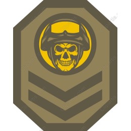 Fierce Military Skull