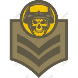 Military Skull Insignia