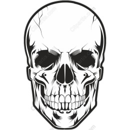 Premium Skull