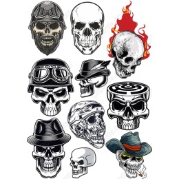 Skull Collection - 12 Unique