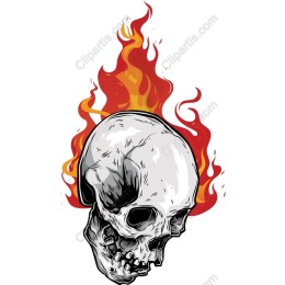 Fiery Skull