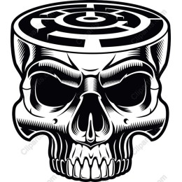Skull with Maze work