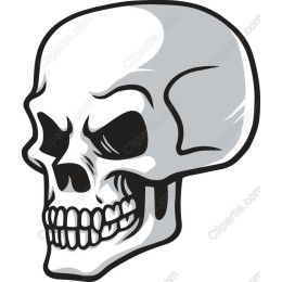 Edgy Skull